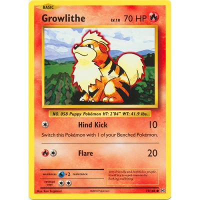 XY Evolutions - 17/108 - Growlithe