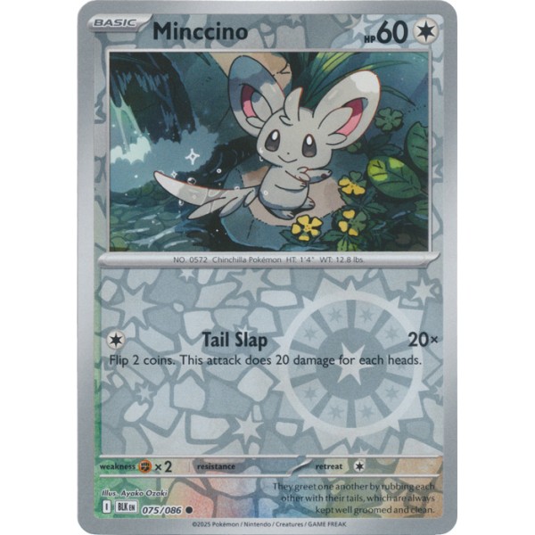 Black Bolt - 075/086 - Minccino (reverse holo)
