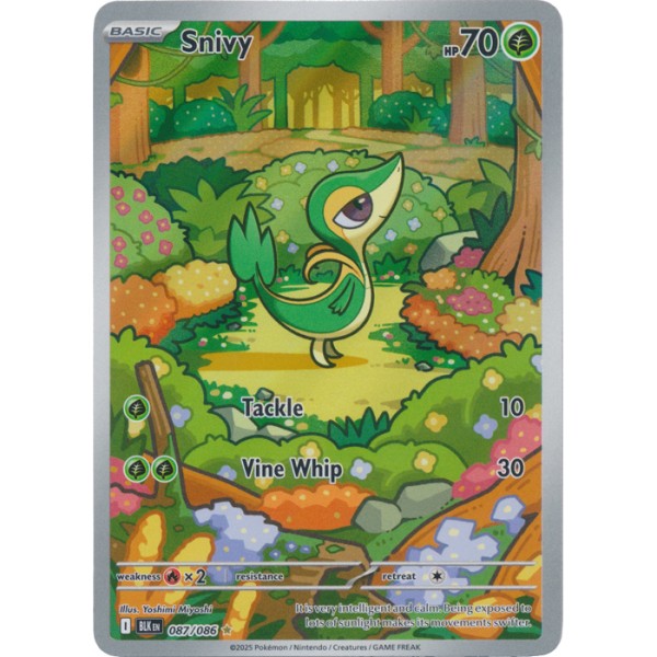 Black Bolt - 087/086 - Snivy (illustration rare)