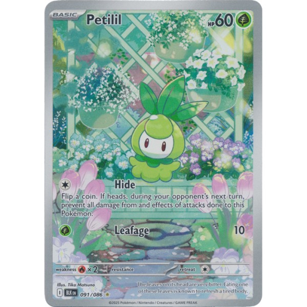 Black Bolt - 091/086 - Petilil (illustration rare)