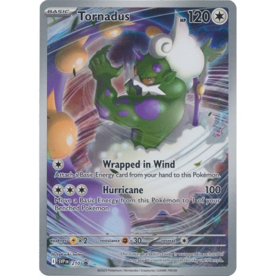 Scarlet Violet Promo - 210 - Tornadus