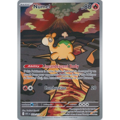 Ascended Heroes - 223/217 - Numel (illustration rare)